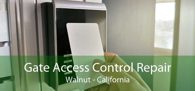 Gate Access Control Repair Walnut - California