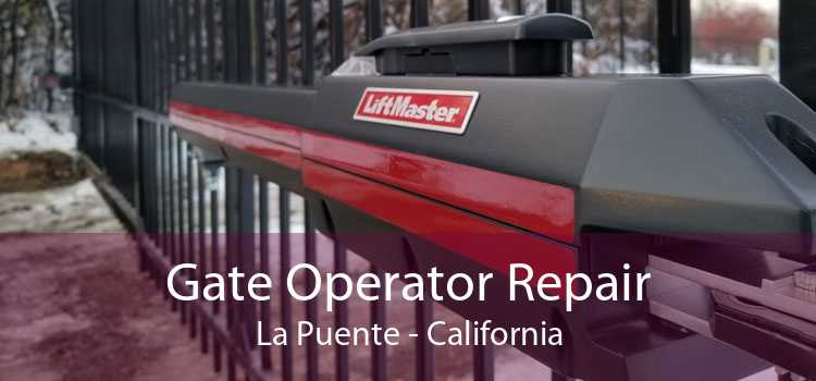 Gate Operator Repair La Puente - California