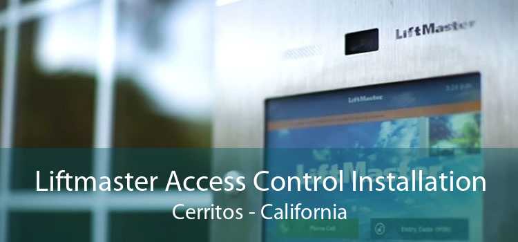 Liftmaster Access Control Installation Cerritos - California