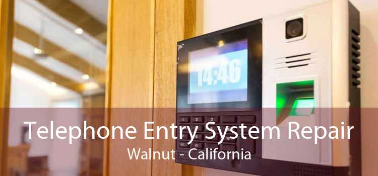 Telephone Entry System Repair Walnut - California